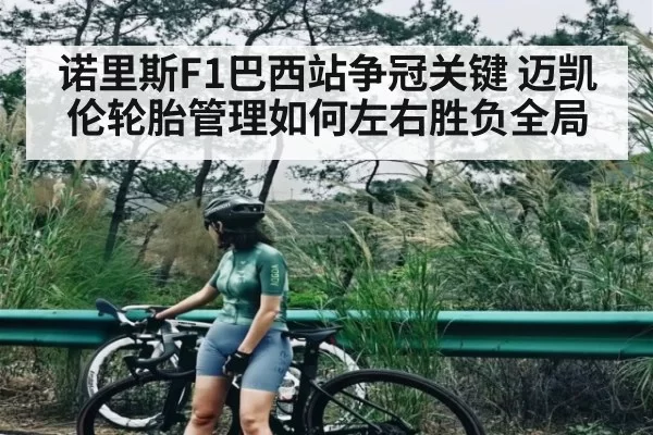 诺里斯F1巴西站争冠关键 迈凯伦轮胎管理如何左右胜负全局